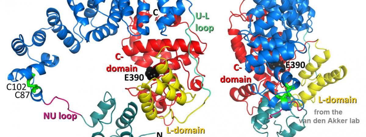 Biochemistry | School of Medicine | Case Western Reserve University